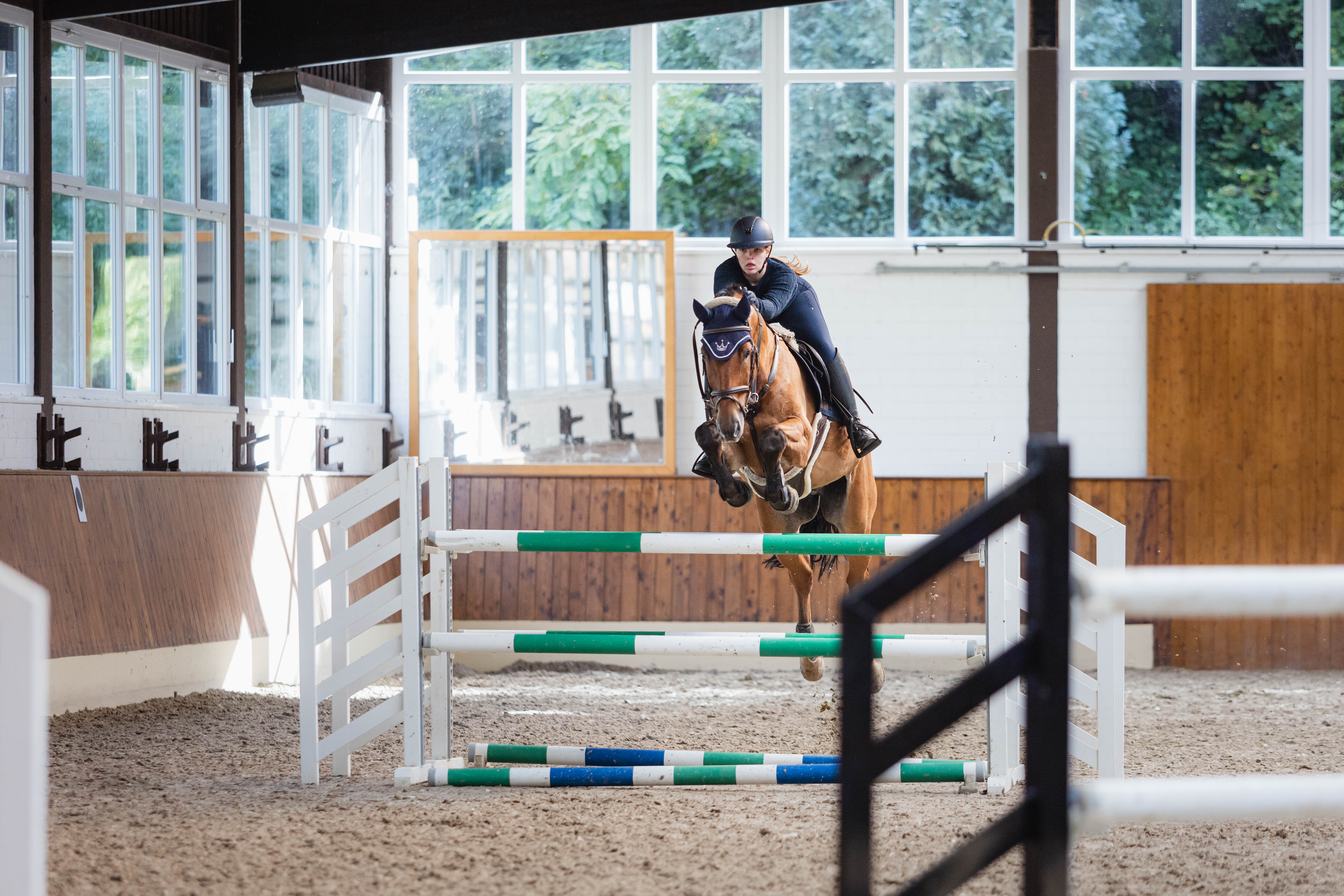 news Wintertraining auf dem Bexter Hof